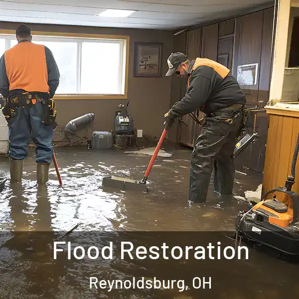  Flood Restoration Reynoldsburg, OH